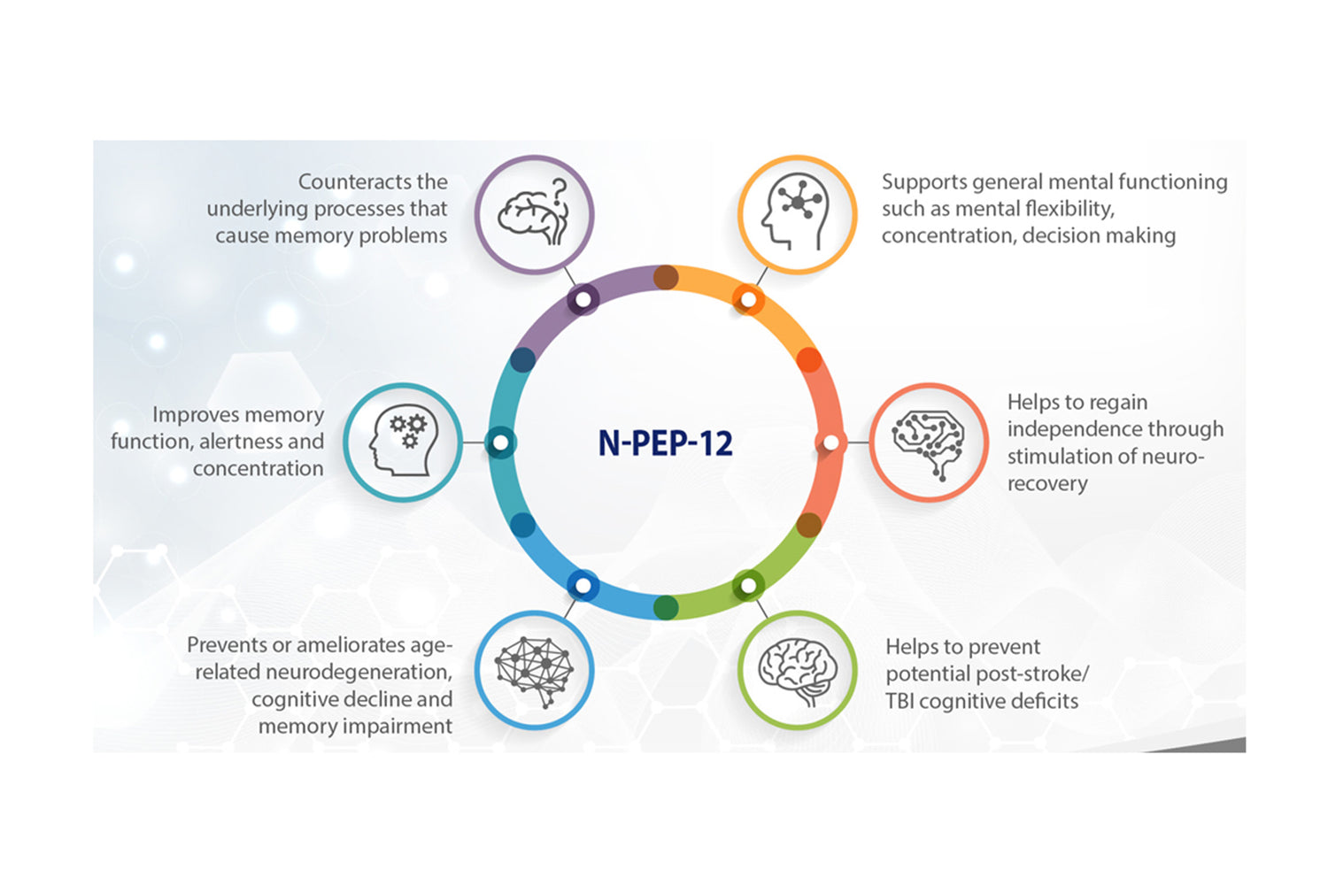 Memoprove N Pep 12 improves memory function, alertness and concentration, prevents or ameliorates age related neurodegeneration, cognitive decline and memory impairment, helps to prevent potential post stroke  - HealthCare PharmaScience