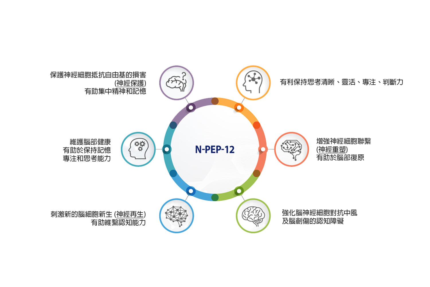 奧地利 EVER Pharma 藥廠專利成分生物神經肽 N PEP 12 能夠促進神經細胞存活及生長。維護腦部健康，有助於保持記憶，專注和思考能力。 刺激新的腦細胞新生 (神經再生)，有助維繫認知能力。增強神經細胞聯繫 (神經重塑)，有助於腦部復原保。護神經細胞抵抗自由基的損害 (神經保護)，有助集中精神和記憶。增加腦內葡萄糖傳遞和吸收，促進用氧，改善腦代謝功能。Healthcare Pharmascience