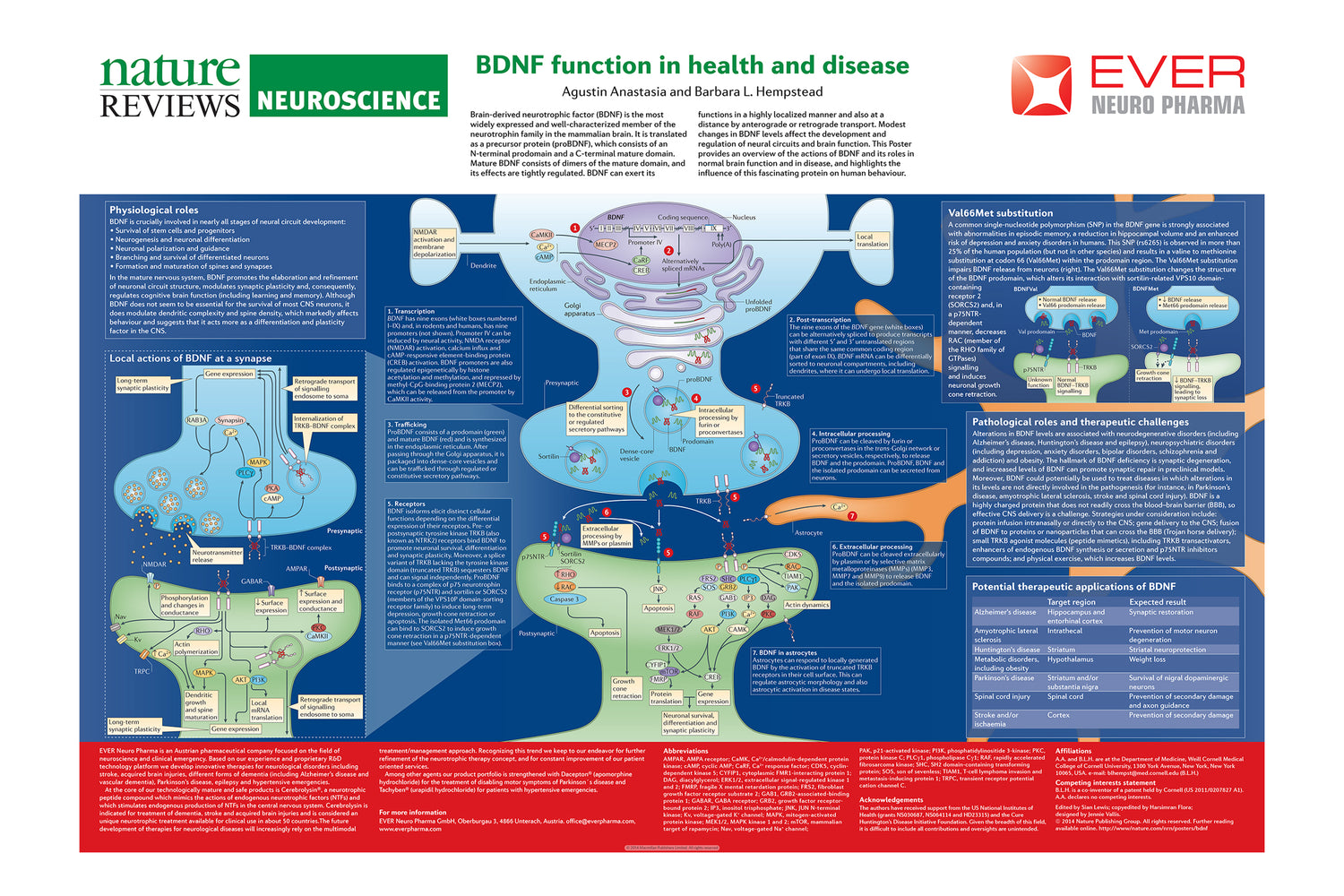 Nature Neuroscience Review 2014 N-PEP-12 Memoprove via Healthcare Pharmascience